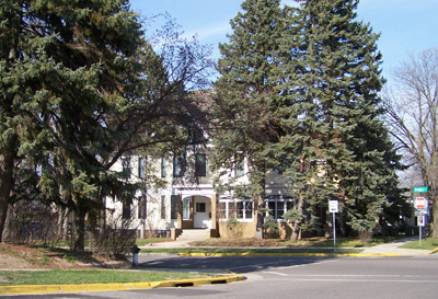 Trees covering the Dewitt side of the house